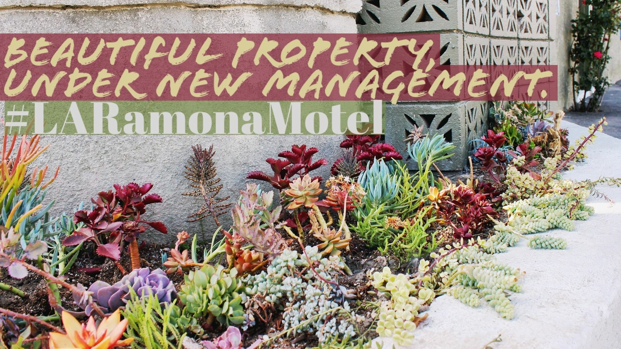 Ramona Motel Лос-Анджелес Экстерьер фото